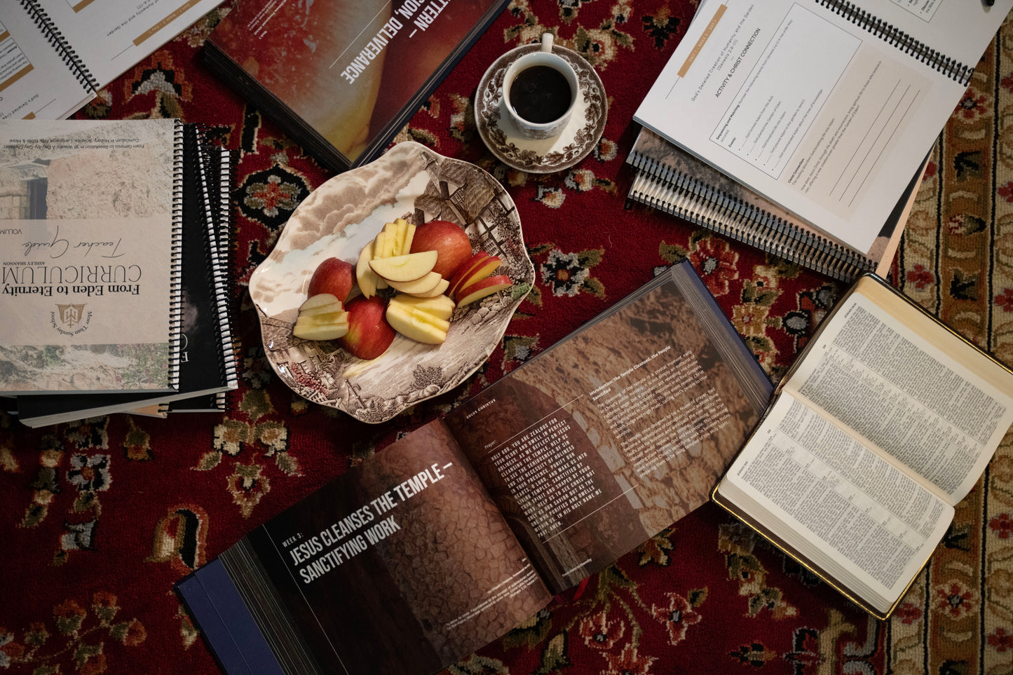 From Eden to Eternity™ — The Complete Homeschool Curriculum Set